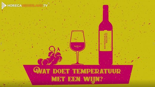 Wat doet temperatuur met een wijn? Bestaat er een perfecte temperatuur voor wijn? In dit WijnWeetje krijg je antwoord op deze prangende vragen!