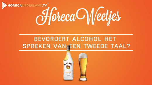 Bevordert alcohol het spreken van een tweede taal? Uit onderzoek blijkt dat alcohol helpt bij het spreken van een tweede taal. HorecaWeetjes zoekt het uit!